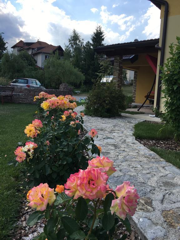 Omiljeni Apartments Zlatibor Exterior foto
